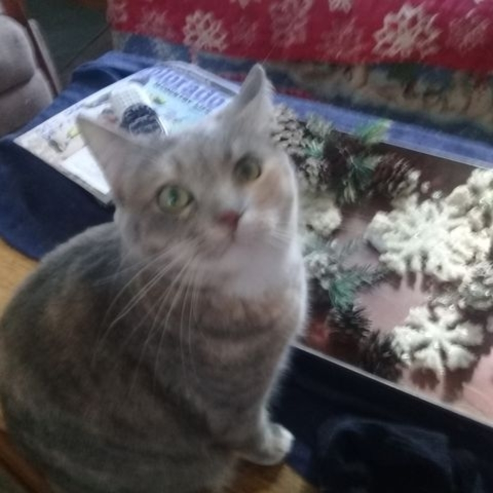 Meet your Posher, Sherilyn